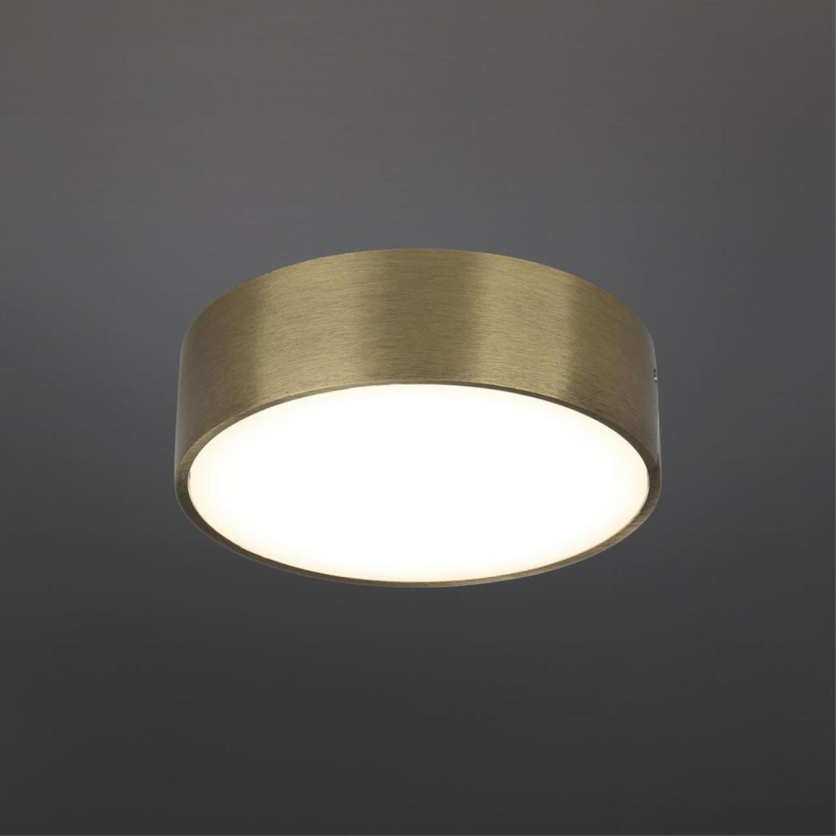 Потолочный светильник светодиодный круглый светодиодный круг Aployt Evon APL.0114.29.12