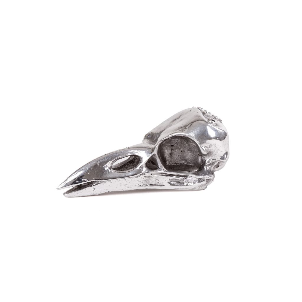 Статуэтка Bird Skull Seletti Wunderkammer 10895