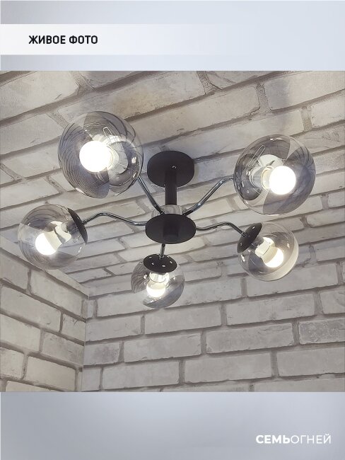 Люстра на штанге Wedo Light Laterina 66382.01.13.05