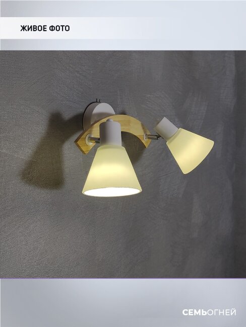 Спот Wedo Light Alva WD3510/2W-WT