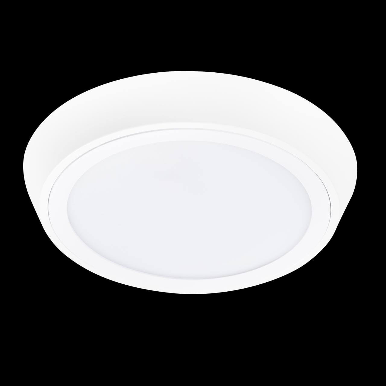 Уличный светильник Lightstar 216902