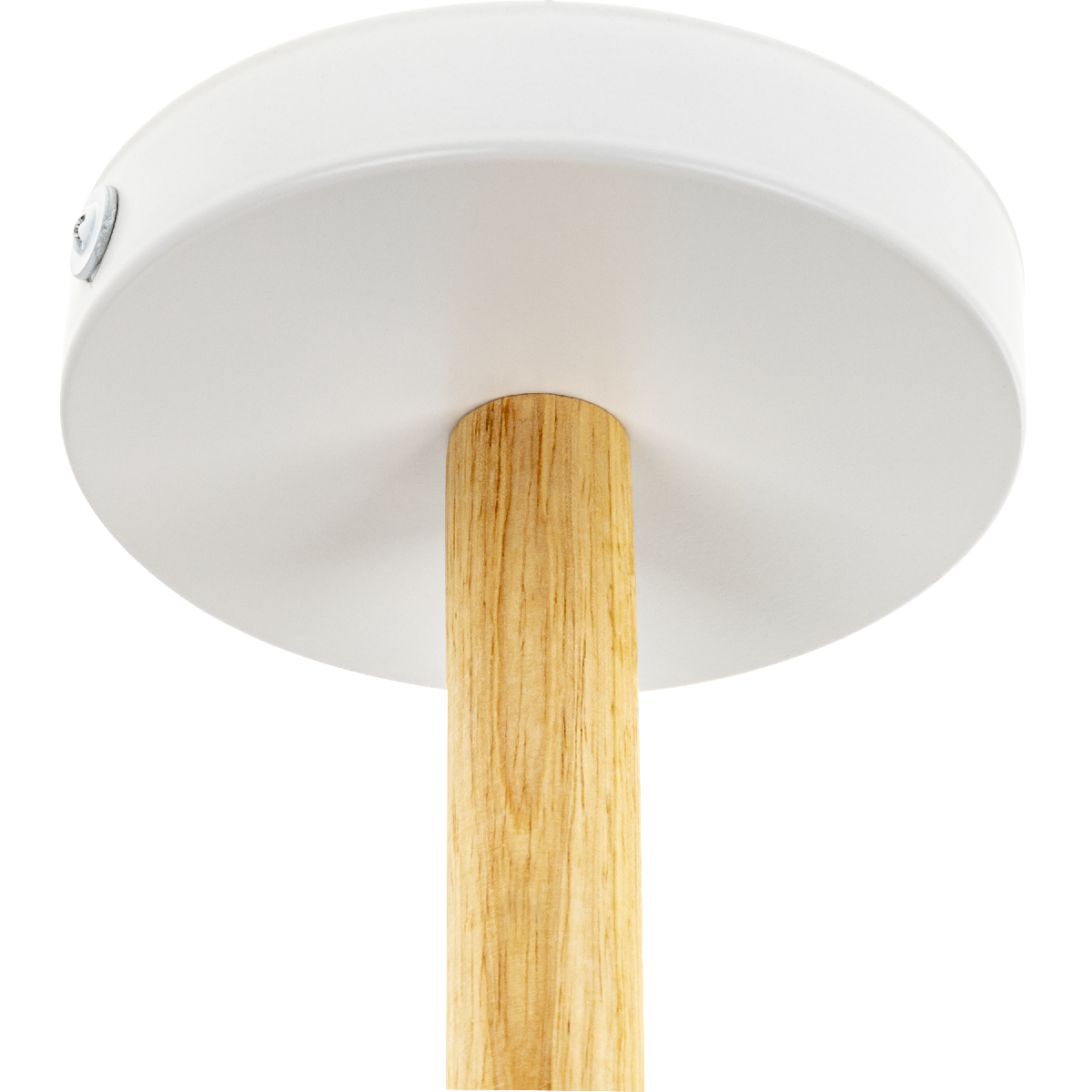 Люстра на штанге Ritter Volante 52595 0