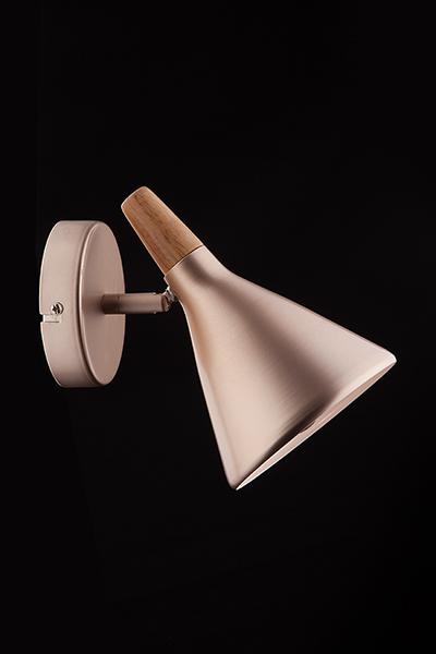 Спот Eurosvet Amadeo 70050/1 перламутровое золото