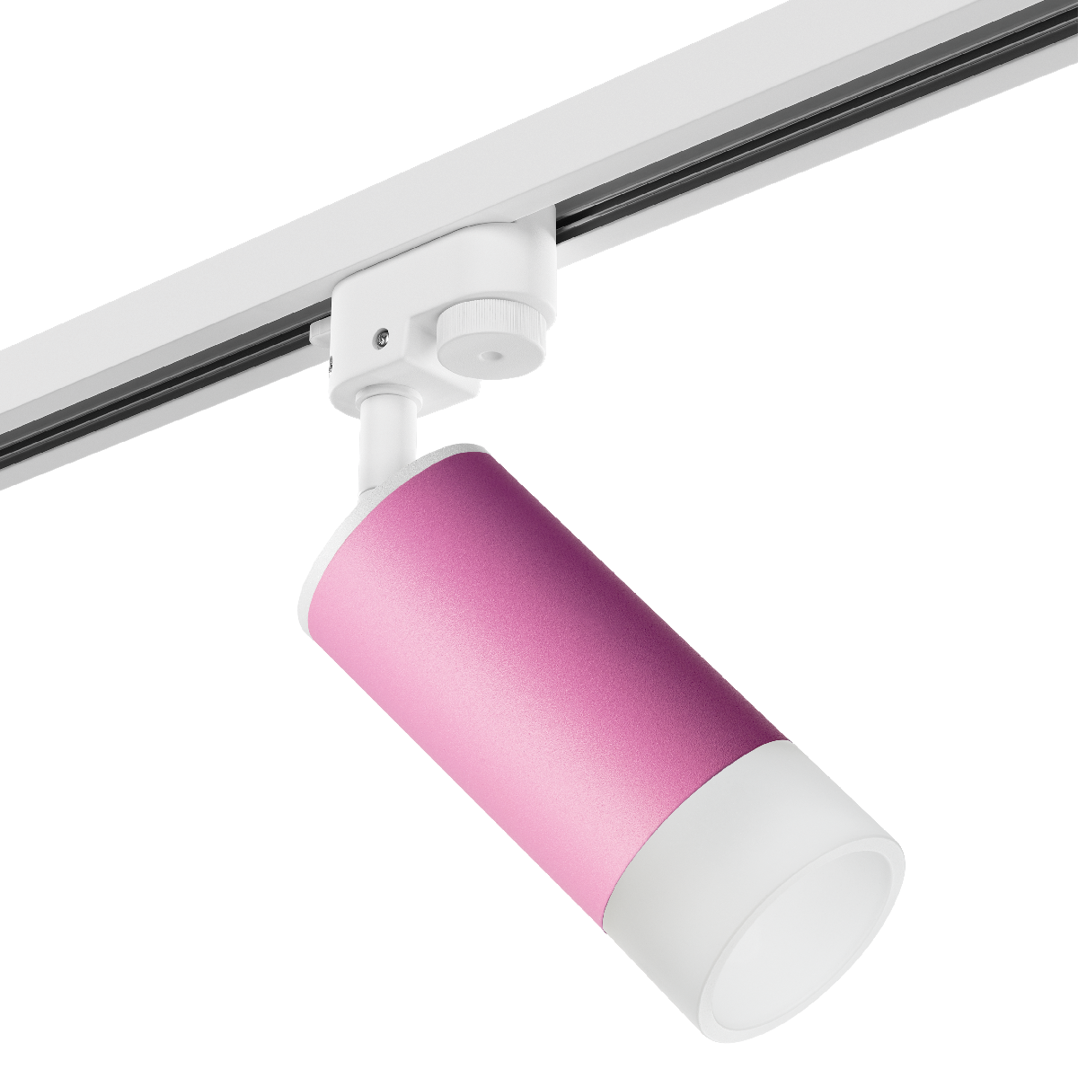 Трековый светильник Lightstar Rullo R1T43231 (214432+592056+202431)