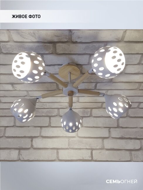 Люстра на штанге Wedo Light Galatone 66662.01.09.05