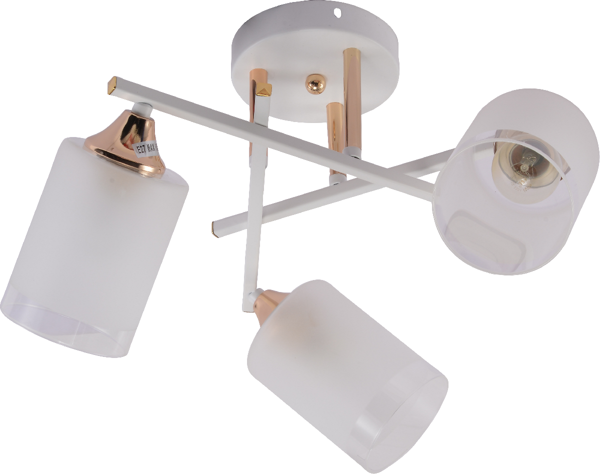 Потолочная люстра Rivoli Tammy 3162-303 Б0059258