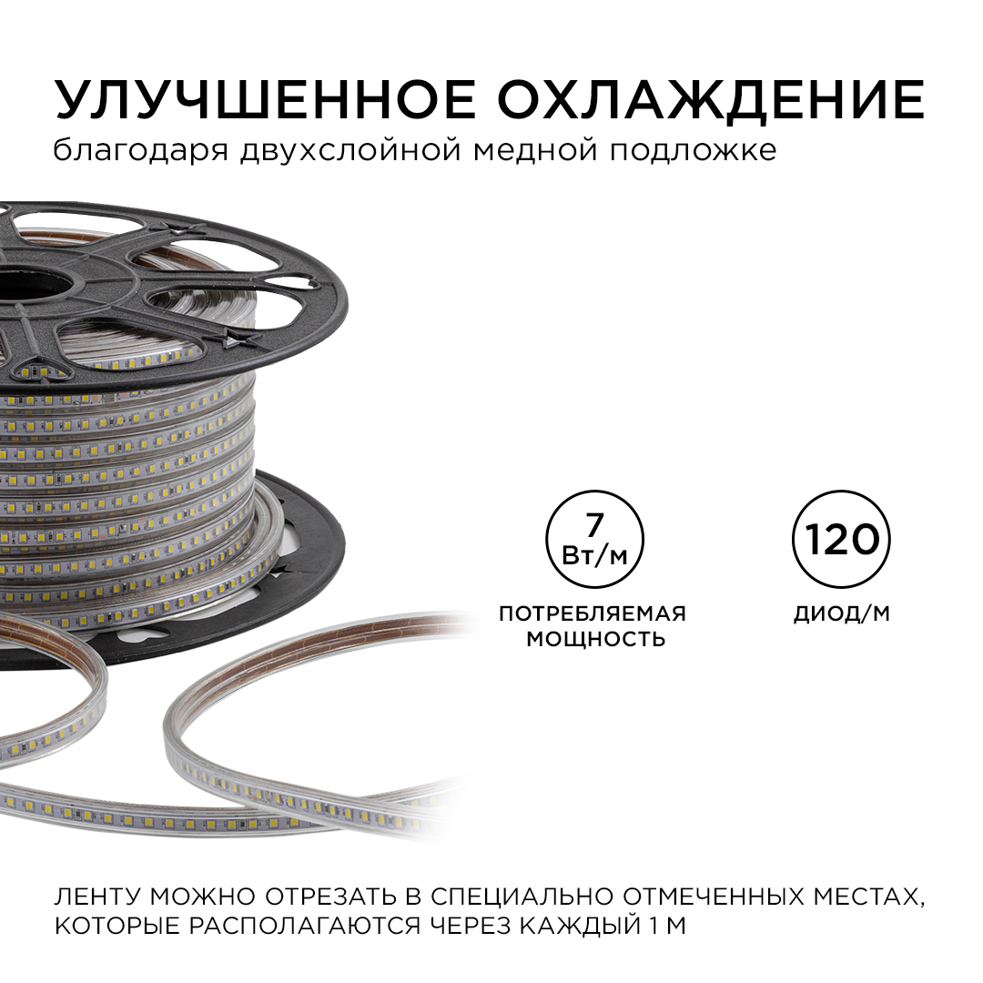 Светодиодная лента OGM Эконом 220В 2835 7Вт/м 6500К 50м IP65 O17-09