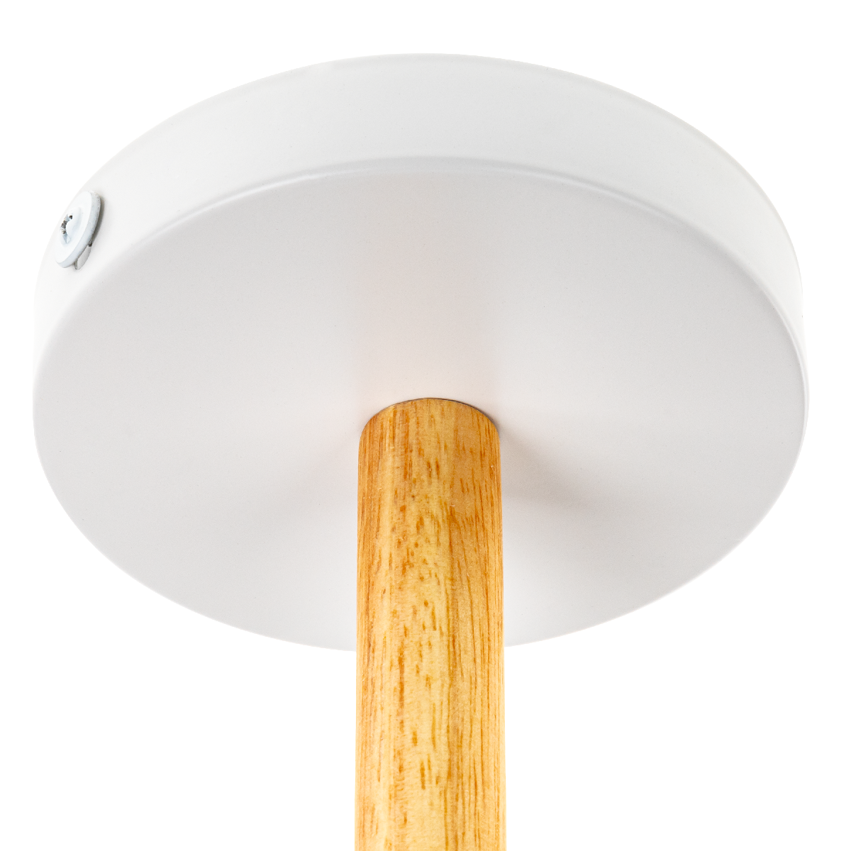 Люстра на штанге Ritter Volante 52594 3