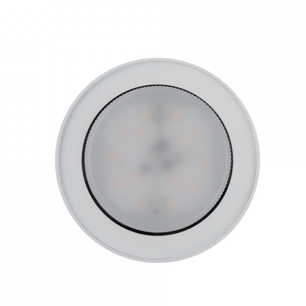 Накладной светильник Nowodvorski Flea 8202