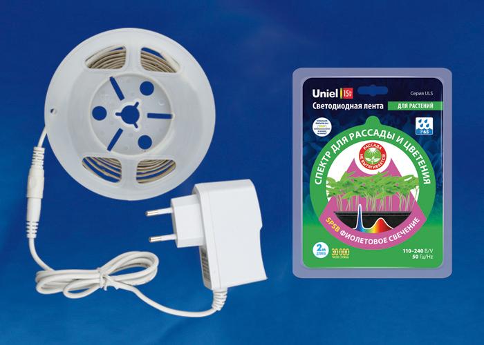 Светодиодная влагозащищенная лента (UL-00004101) Uniel 7,5W/m 42LED/m 2835SMD фиолетовый 2M ULS-P76-2835-42LED/m-IP65-2M-SPSB RRP18C00