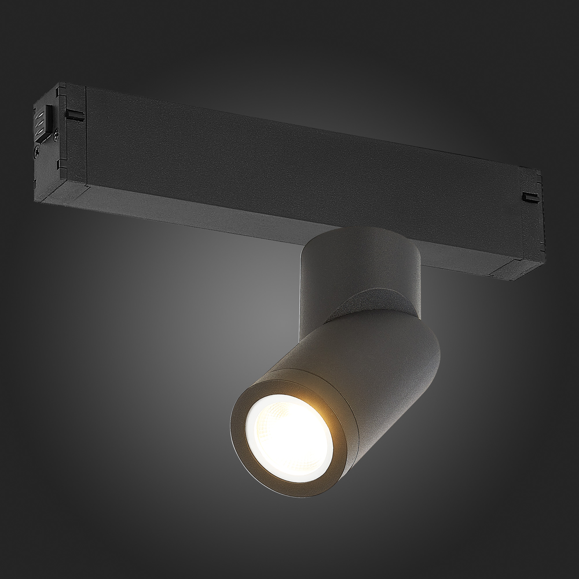 Трековый светильник ST Luce Skyline 220 ST506.402.01