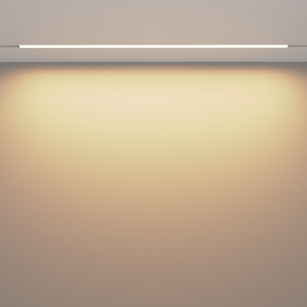 Трековый магнитный светильник Maytoni Technical Magnetic track system Exility Basis TR030-2-30W3K-W