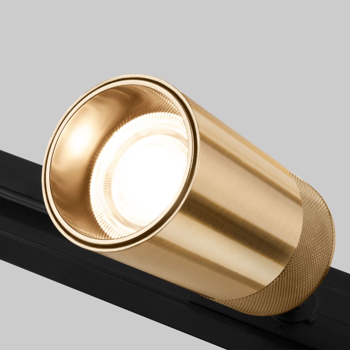 Трековый однофазный светильник Elektrostandard Riffe 4690389190469 a061661