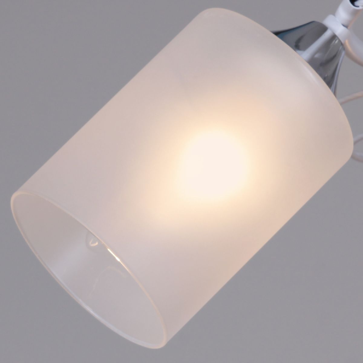 Потолочный светильник Reluce 06108-0.3-02 WH+CR