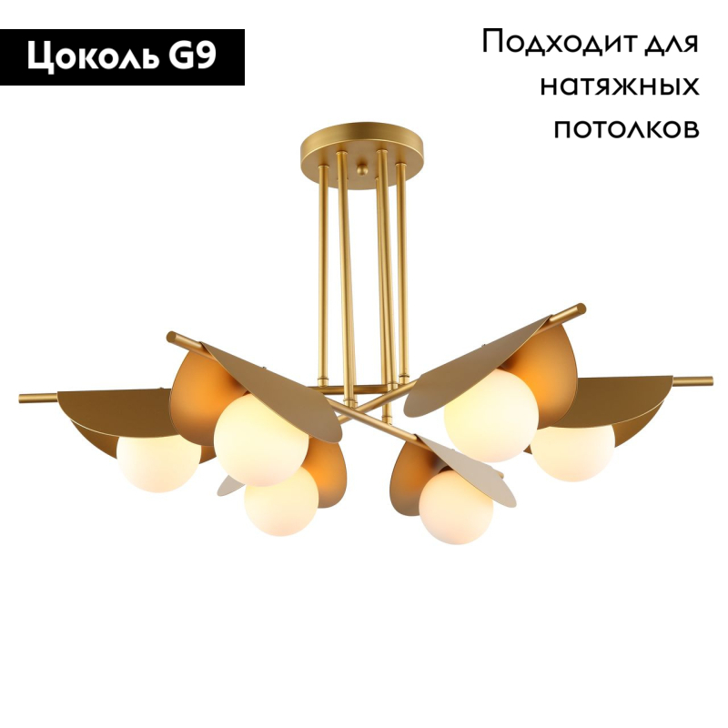 Потолочная люстра Favourite Kernel 2366-6P