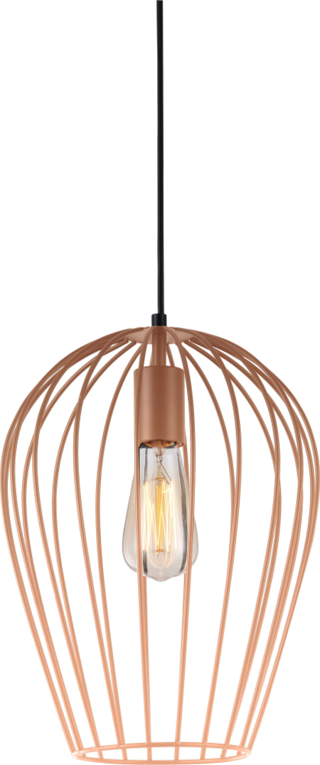 Подвесной светильник Toplight Kayla TL1174H-01PK