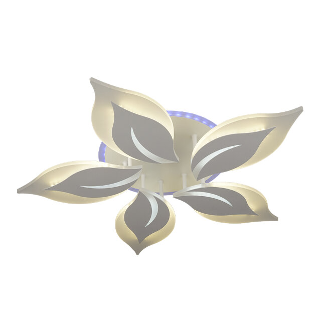 Потолочная люстра Wedo Light Omenya 75391.01.09.05