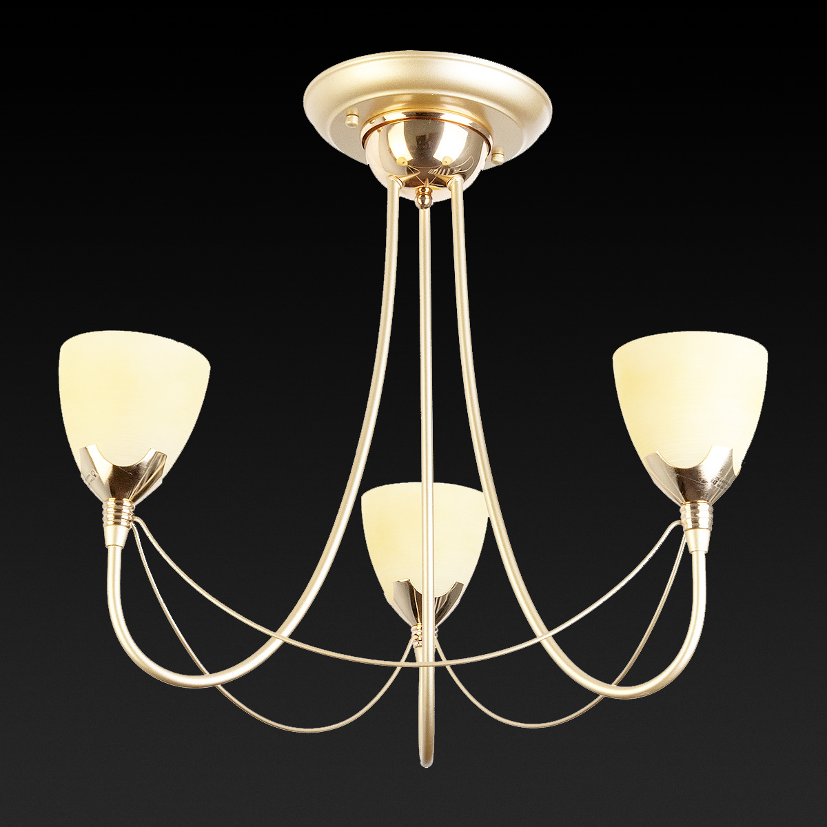 Потолочная люстра Toplight Lucia TL3630X-03MG