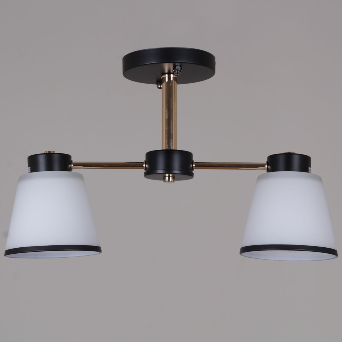 Потолочный светильник Reluce 30560-0.3-02 BK+FG