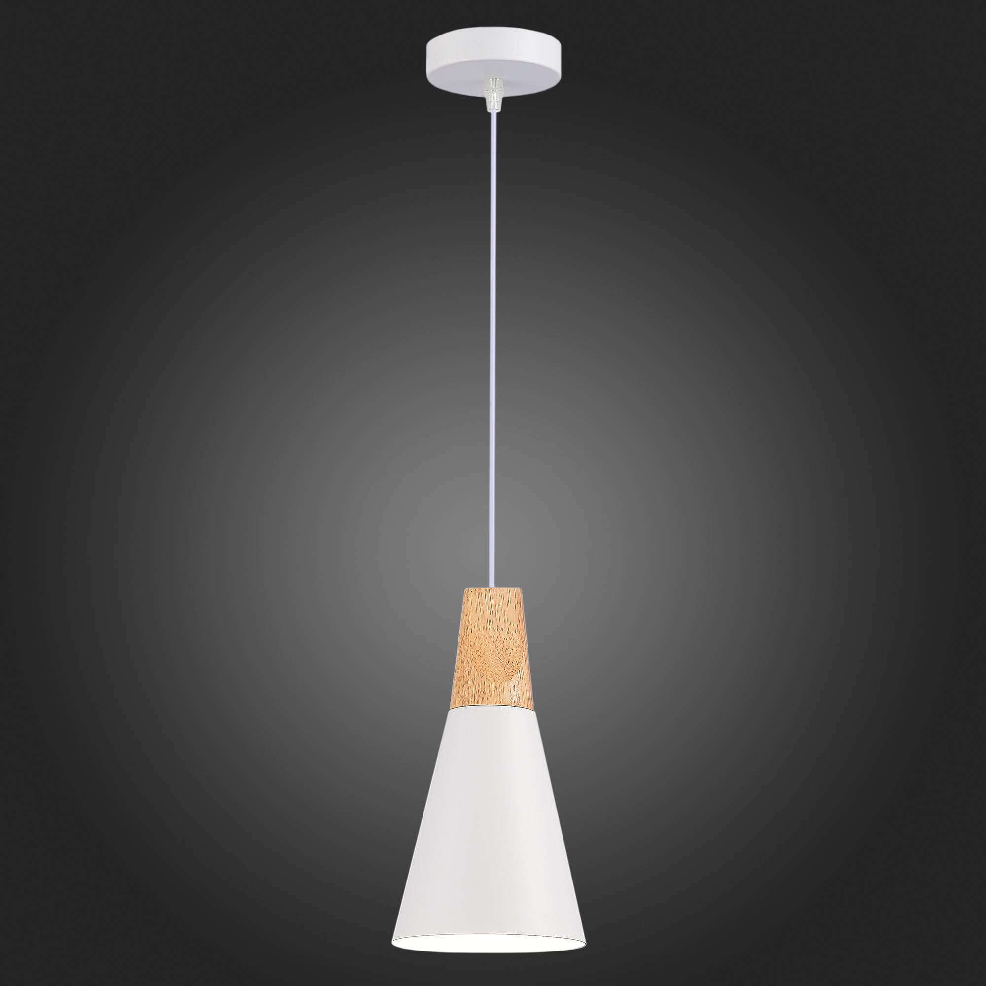 Подвесной светильник Evoluce Modica SLE125153-01