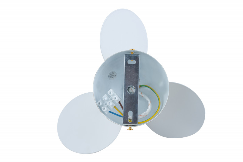 Потолочный светильник Loft IT Matisse 10008/1C white