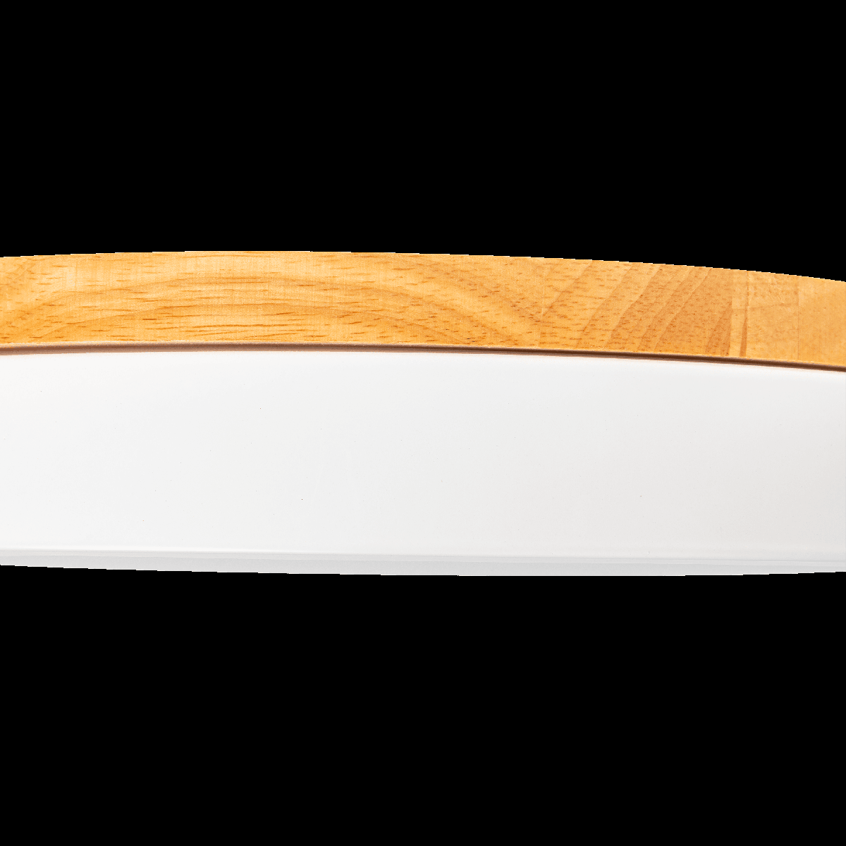 Потолочный светильник Ritter Snello 51623 5