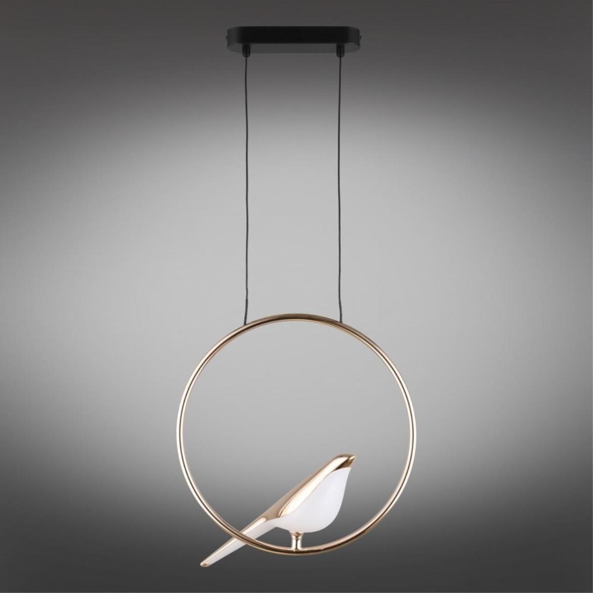 Подвесной светодиодный светильник Aployt Astor APL.822.06.10