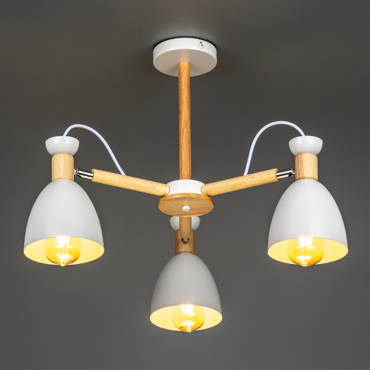 Люстра на штанге Ritter Volante 52594 3