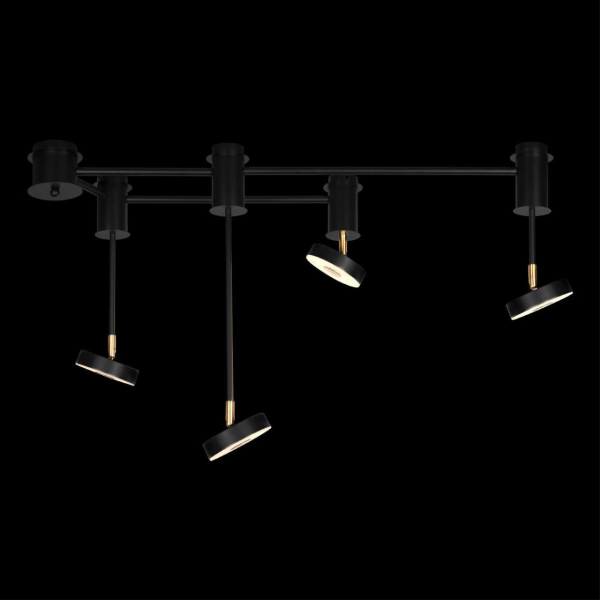 Потолочный светильник Loft IT Flock 10189/1000