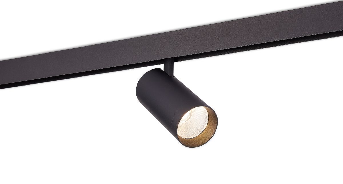 Трековый светильник Donolux Alpha DL20295TW30BTuya