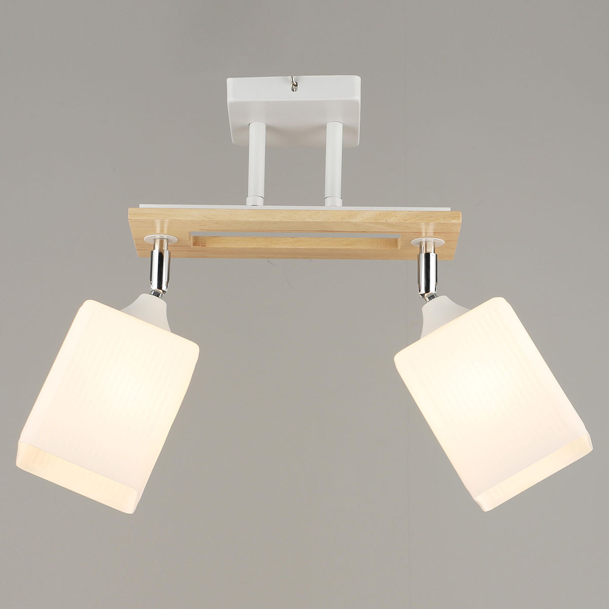 Спот Reluce 04717-0.3-02