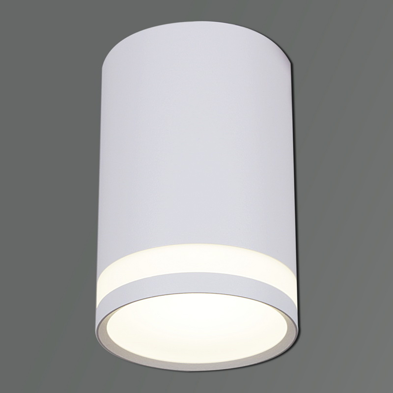 Накладной светильник Reluce 16134-9.5-001MZ MR16 WT