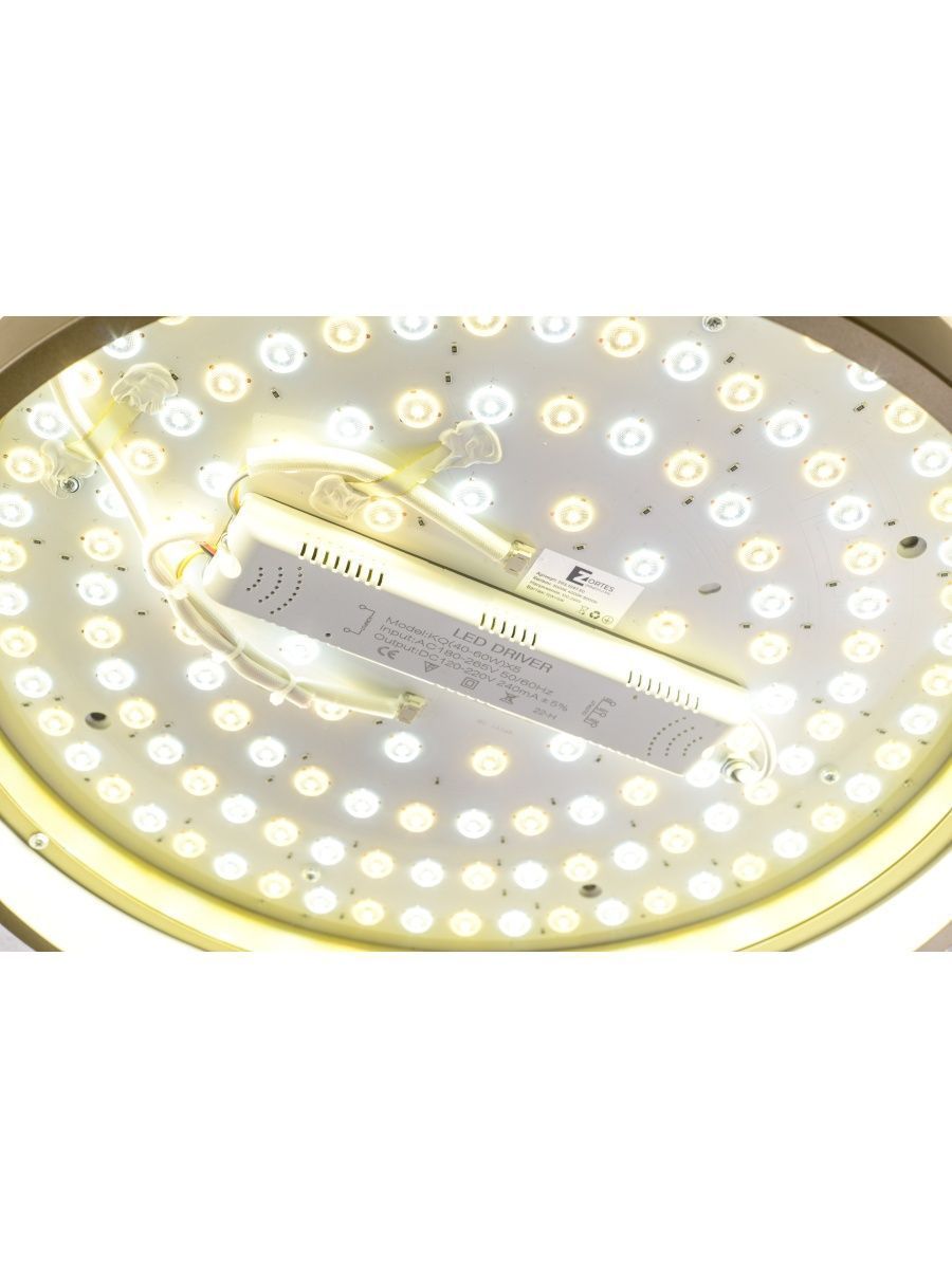 Потолочный светильник Zortes Gerda ZRS.1097.50