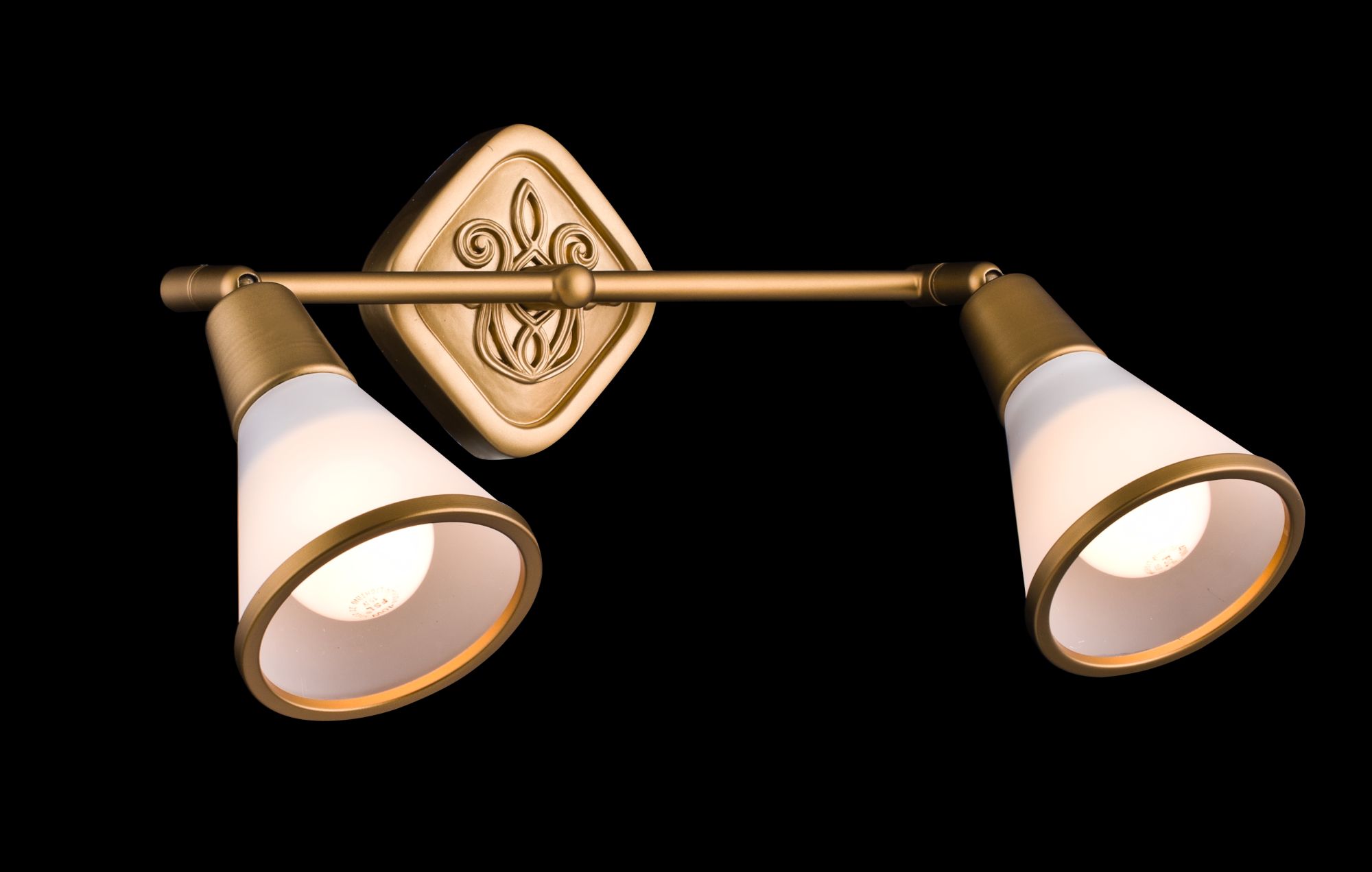 Спот Maytoni Luther ECO008-02-G