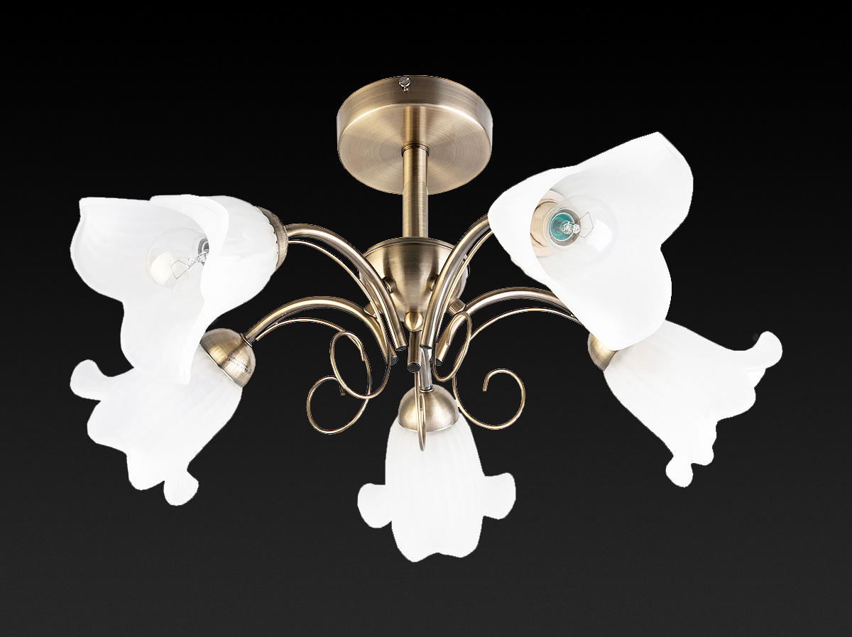 Потолочная люстра Toplight Magdalene TL3490X-05AB