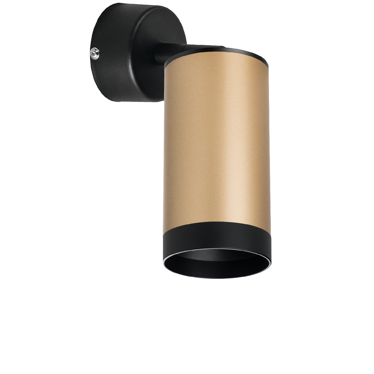 Встраиваемый спот Lightstar Rullo RB440437 (214440+590007+203437)