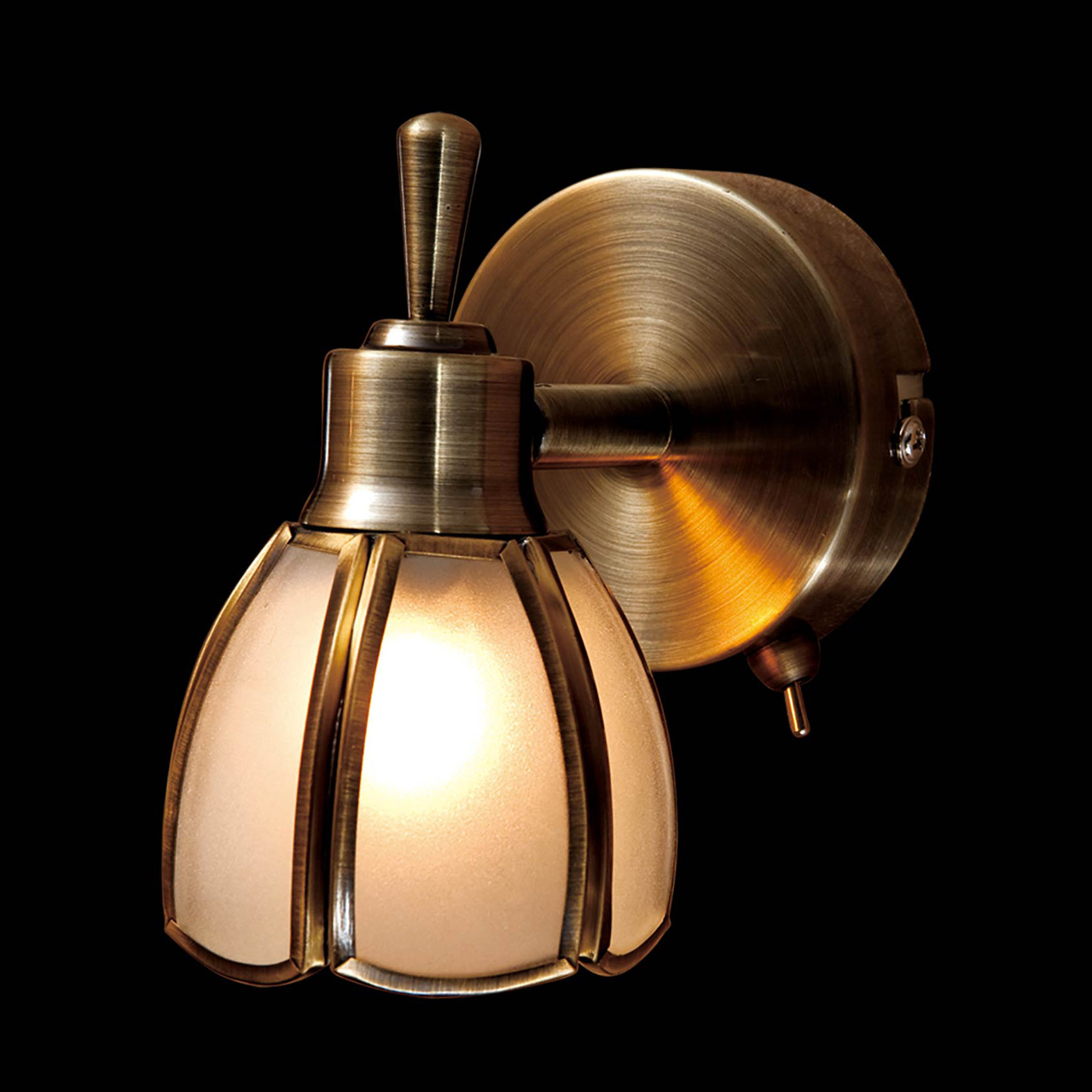 Спот Citilux Альтен CL522511