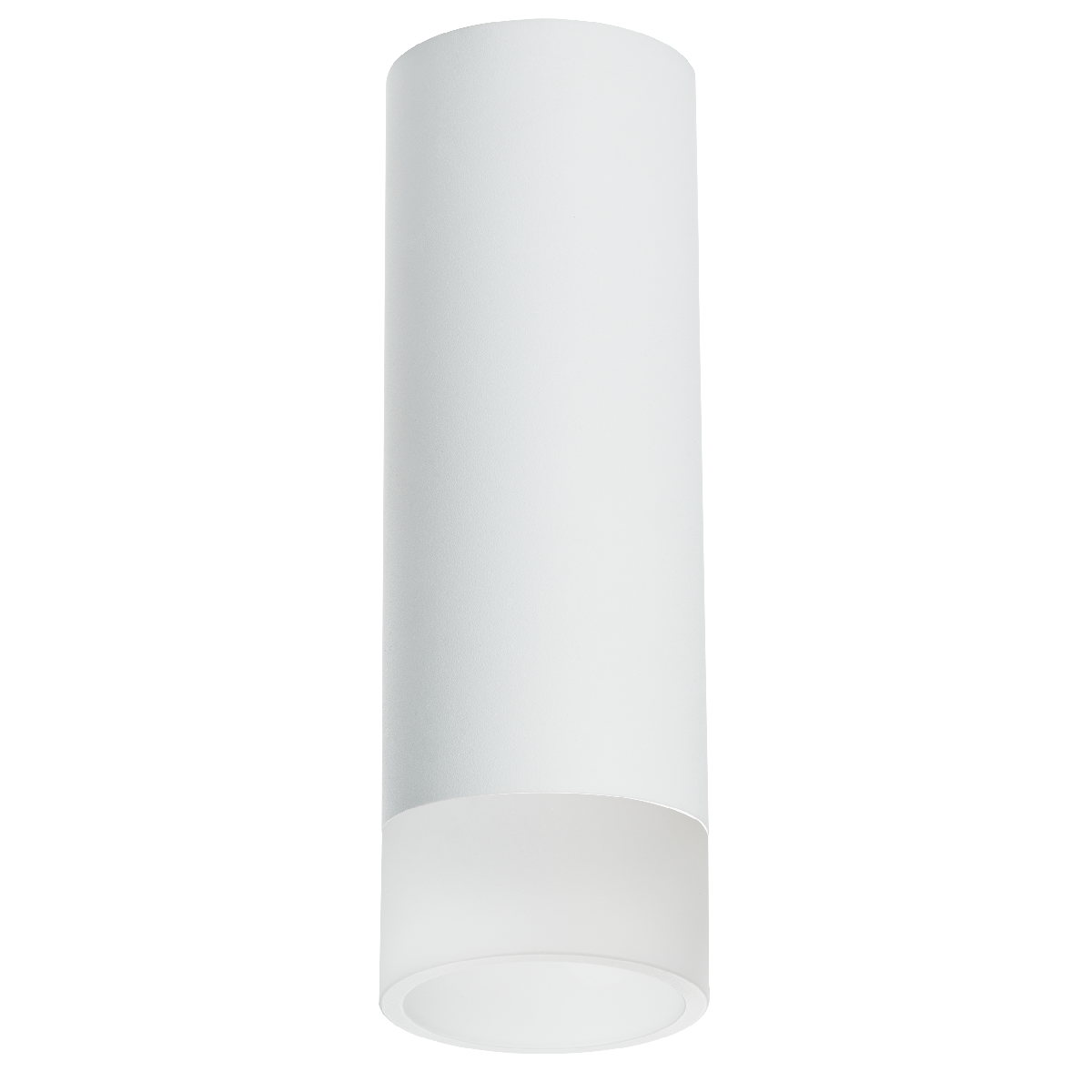 Накладной светильник Lightstar Rullo R48631 (214486+202431)