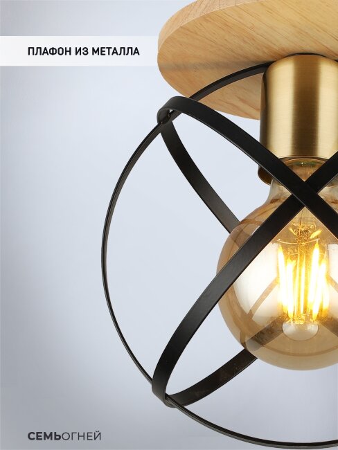 Потолочный светильник Wedo Light Mirna WD3573/1C-BK-AB