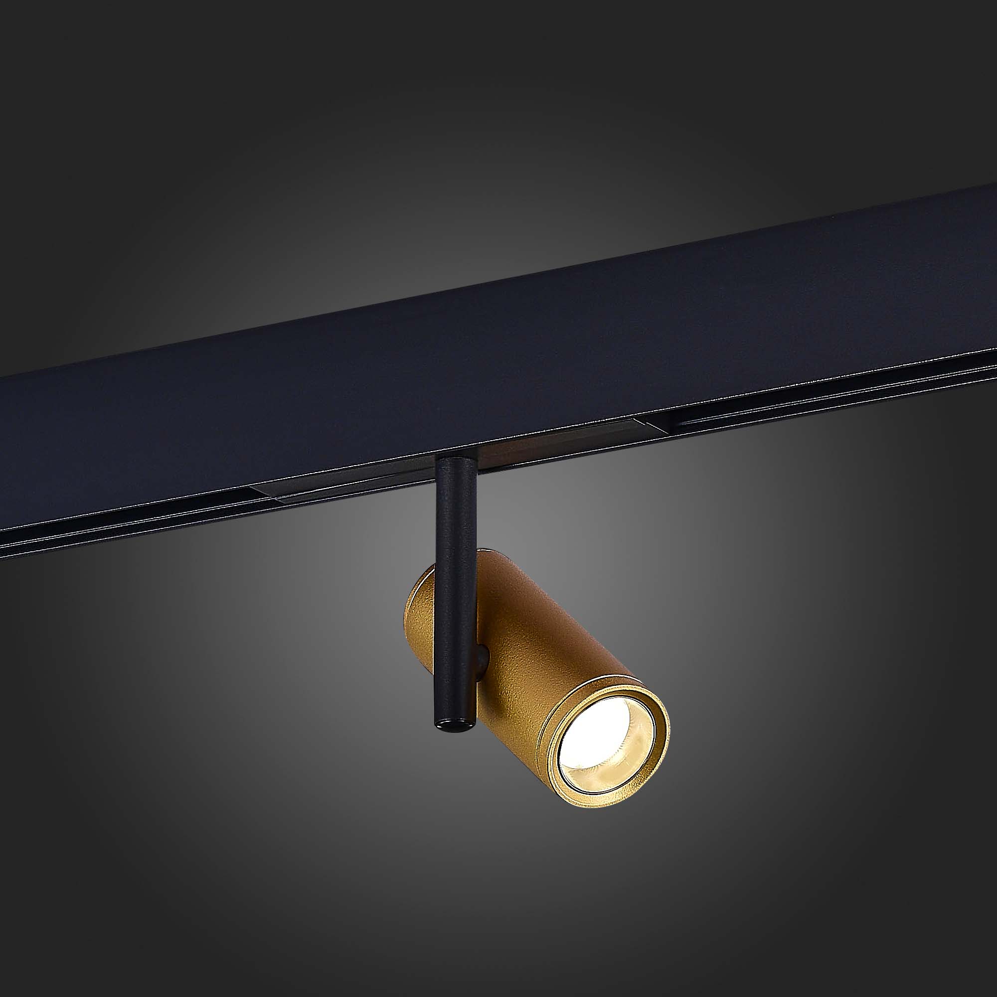 Трековый светильник ST Luce Skyline 48 ST808.246.08