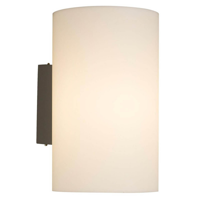 Уличный настенный светильник Maytoni Camden O008WL-01S