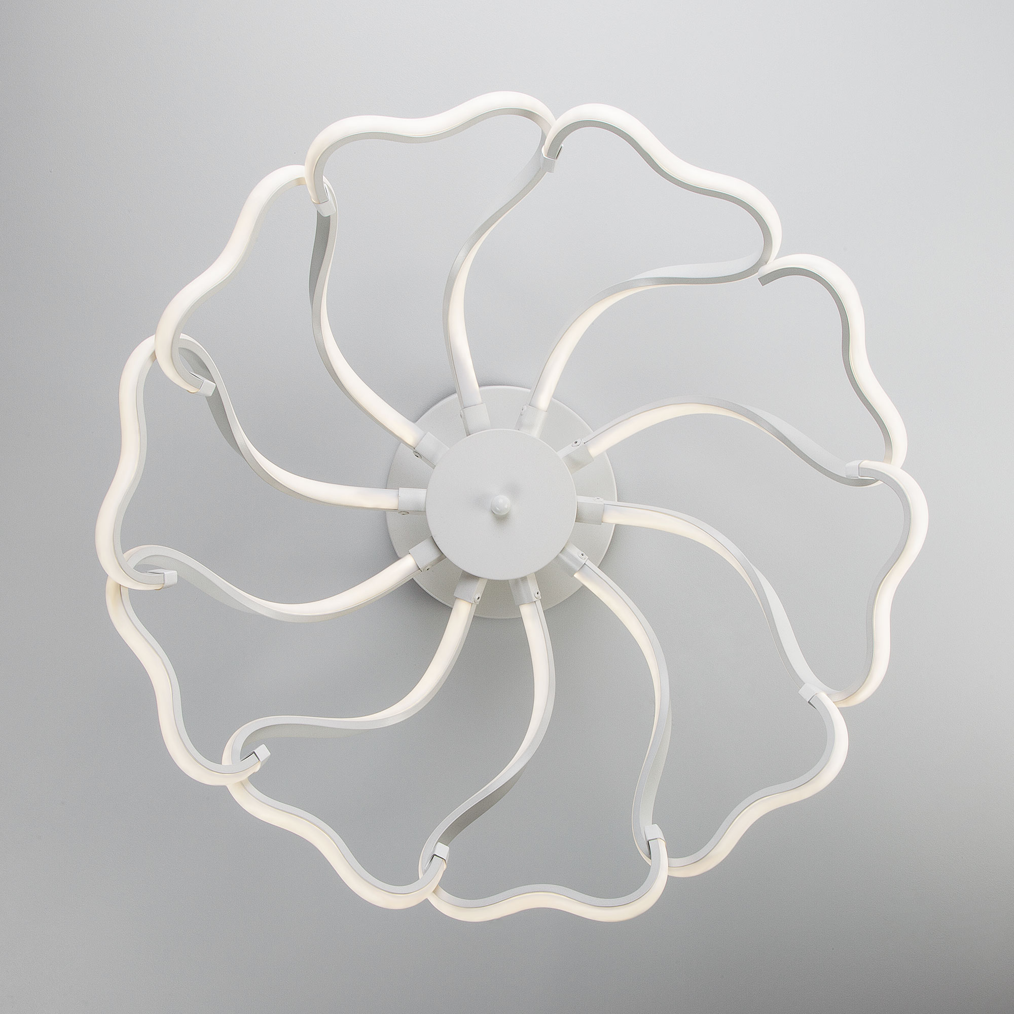 Потолочный светодиодный светильник Eurosvet Begonia 90095/10 белый