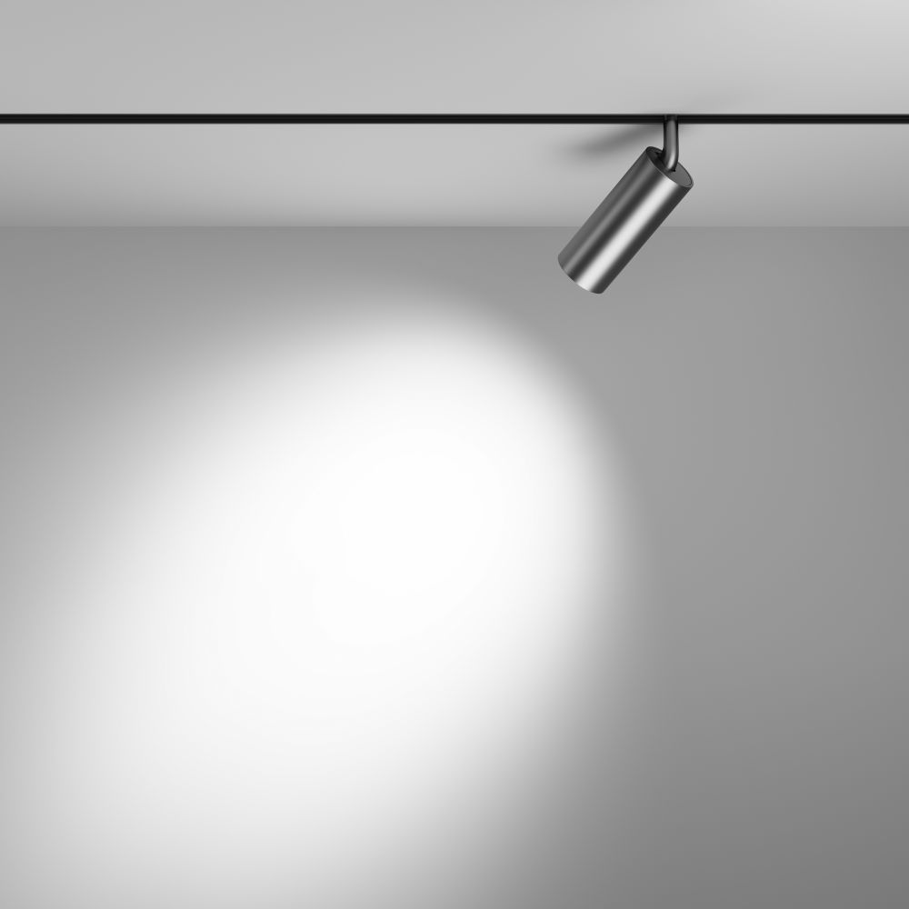 Трековый светильник Maytoni Technical Focus LED TR032-2-12W3K-S-MG