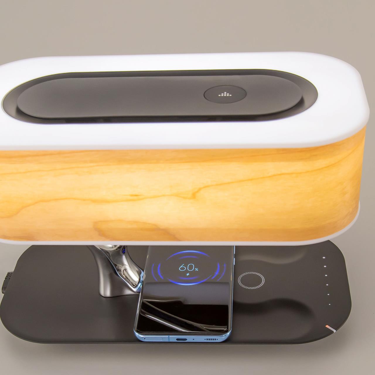 Настольная лампа Citilux Ньютон CL803042 в Москве