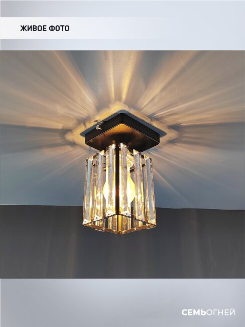 Потолочный светильник Wedo Light Netta WD3519/1C-BK-CL