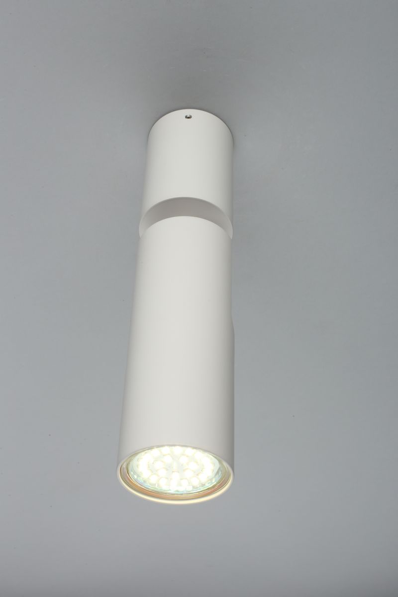 Настенно-потолочный светильник Aployt Berenis APL.007.02.01