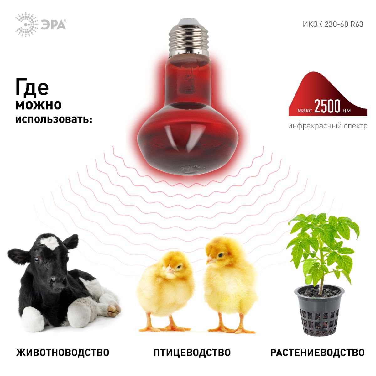 Инфракрасная лампа для обогрева животных Эра ИКЗК 230-60 R63 Е27 Б0057281