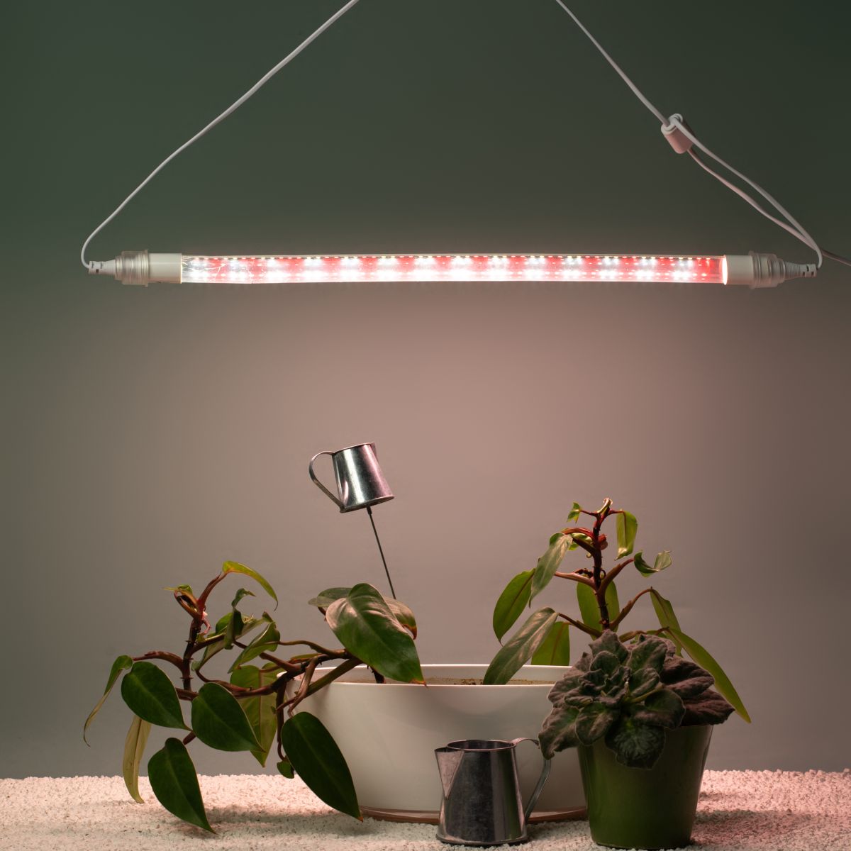 Линейный светильник для растений Эра FITO-9W-Rа90-Т8+holderG13 Б0069516