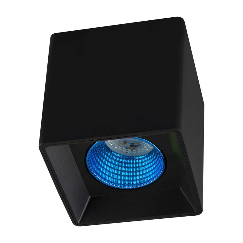 Накладной светильник Denkirs DK3080-BK+CY