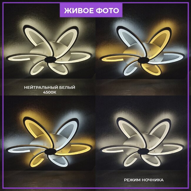 Потолочная люстра Wedo Light Kornelis 75407.01.09.06